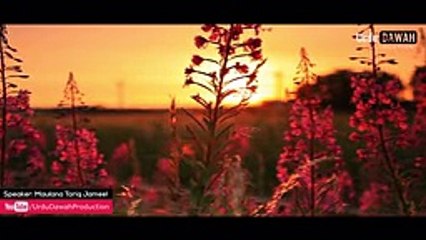 Maulana Tariq Jameel Insaan Ki Haqeeqat - Very Powerful Bayan -