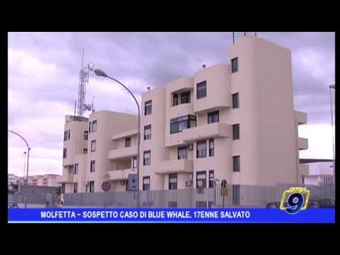 Molfetta | Sospetto caso di Blue Whale : 17enne salvato dai carabinieri