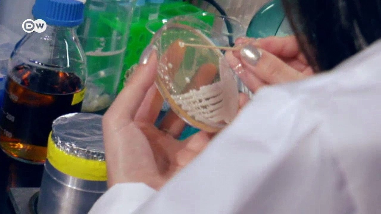 Forschung ohne Grenzen | Projekt Zukunft