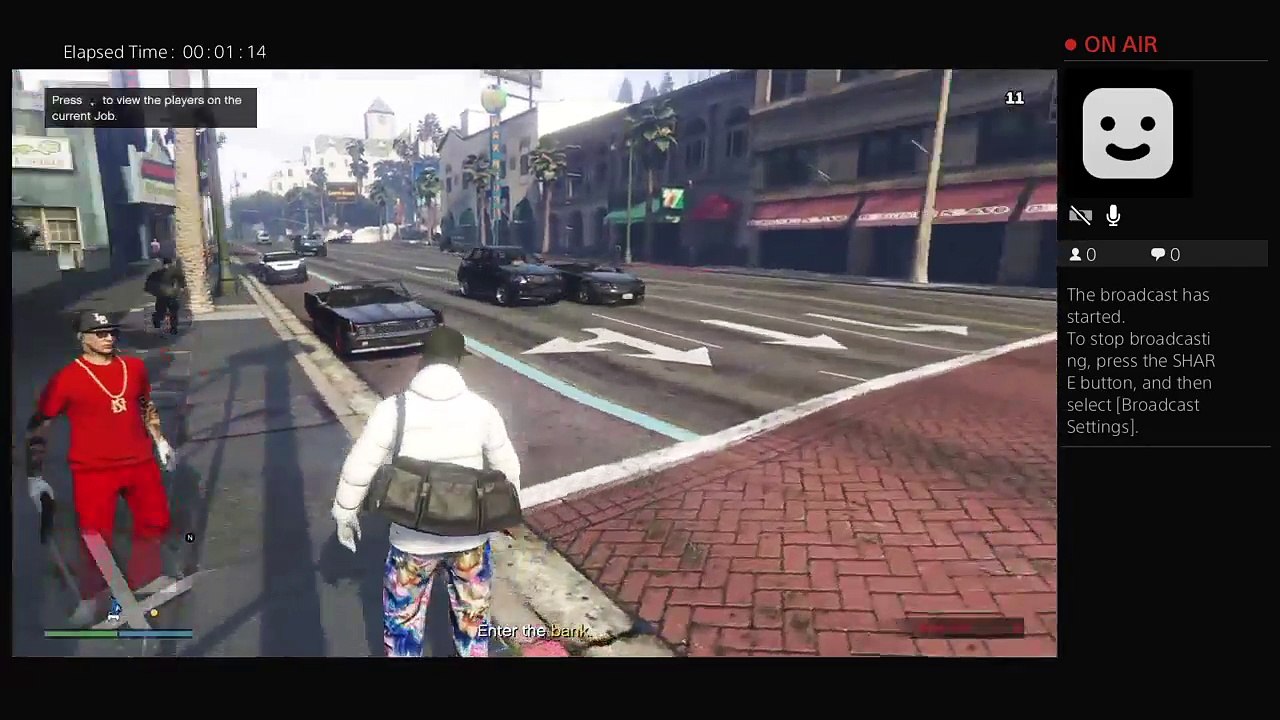 Opotter4Ever GTAV heist (3)