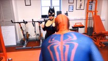 Spiderman VS Catwoman - Superhero Battle