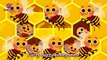 Fuzzy Buzzy Honeybees _ Bug Songs _ PINKFONG Songs for Ch