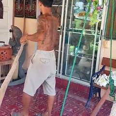 Big Crocodiles Enter The Room