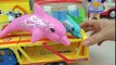 Ambulance Baby Doll Swim in pool & Nancy Dolphins Rescue toys