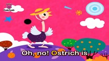 O _ Ostrich _ ABC Alphabet Songs _ Phonics _ PINKFONG Songs for Children-kvoMT43U1