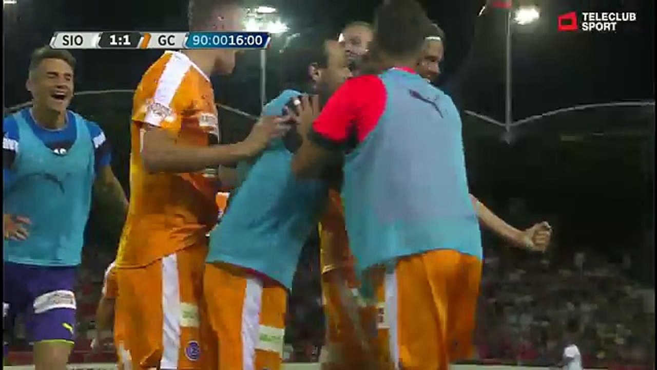 Sion 1:1 Grasshoppers (Swiss Super League 2. Juni 2017 )