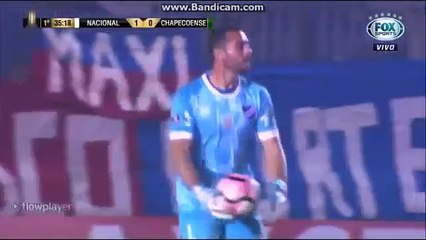 128.Nacional-URU vs Chapecoense 3-0 - Goles Resumen 27_04 - LIBERTADORES 2017