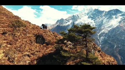 Travel Life Movement