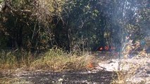 Andria: incendiano scarti tessili, prendono fuoco anche ulivi ed alberi