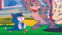 Tom and Jerry - Slicked-up Pup -carton for kids tom and jerry