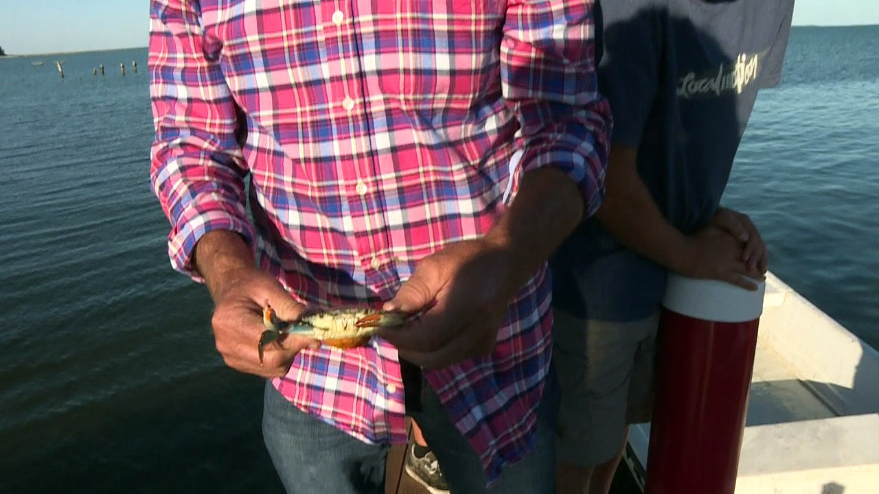 Klimawandel lässt US-Insel untergehen