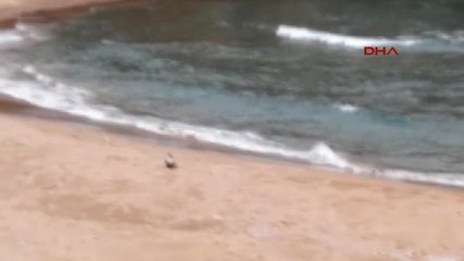 Şile'de Kıyıya Vuran Şüpheli Cisim Polisi Alarma Geçirdi