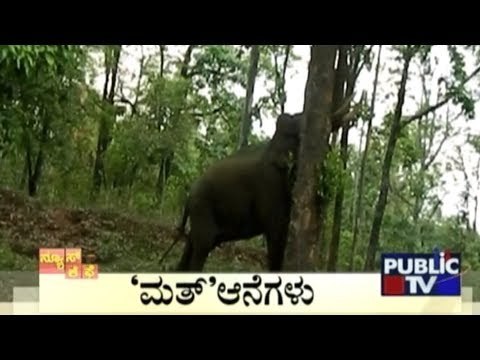 News Cafe | Top Stories | June 3rd , 2017 | 8:00 AM