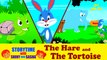 The Hare and The Tortoise | Moral Stories for Childrens | Storytime With Shiny and Sasha