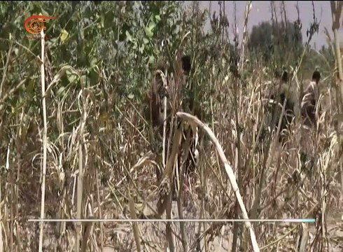 مقتل وجرح العشرات من قوات هادي إثر استهداف مواقع لهم ...