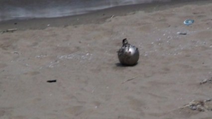 Istanbul'da Sahilde Mayın Paniği