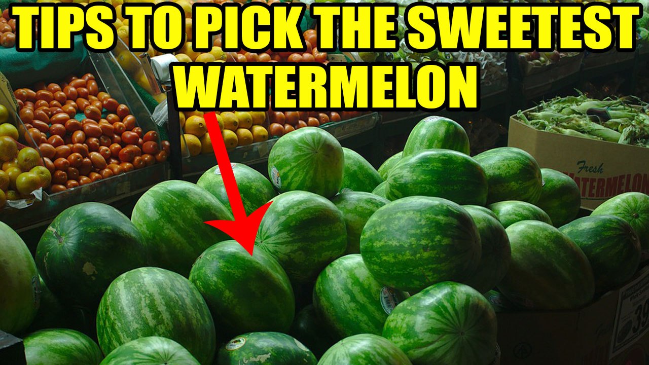 Watermelon selection tips | How to pick sweetes...