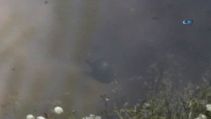 Şile Sahilinde Mayın Paniği