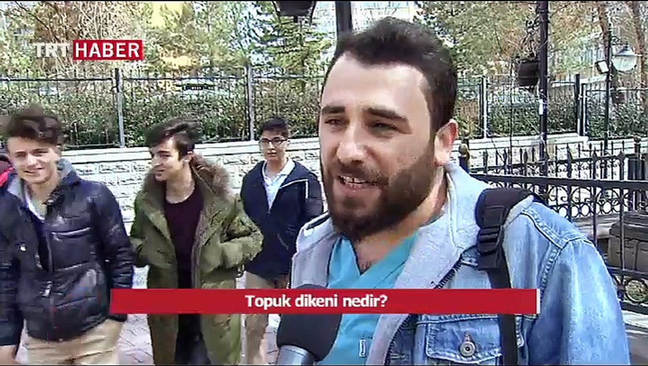 Topuk dikeni nedir?
