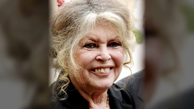 Brigitte Bardot : sa lettre choc à Nicolas Hulot