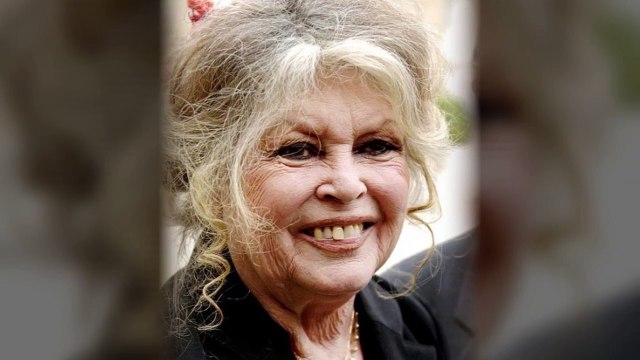 Brigitte Bardot : sa lettre choc à Nicolas Hulot