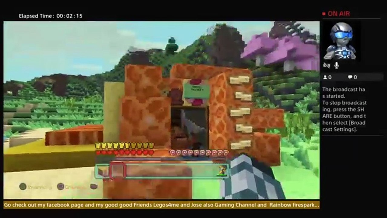 Minecraft Survival (49)