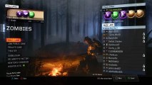 Zombies bo3 hunt
