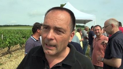 Les syndicats de vignerons Icaunais contre l'invasion d'éoliennes qui abîment le paysage