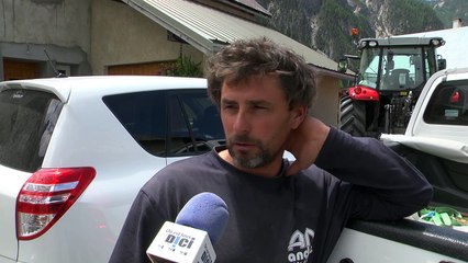 D!CI TV : 38 agneaux égorgés à Cervières, l'éleveur "désoeuvré" face à la prédation