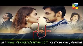 Dil e Jaanam Episode 15 Promo on Hum Tv 2 June 2017 --- PAKISTAN TV