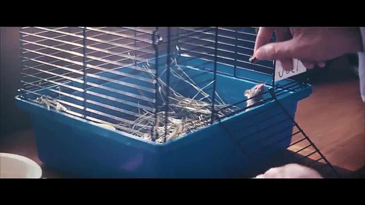 Marshmello - Alone (Official Music Video)