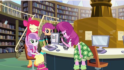 Twilight's Research At CHS's Library