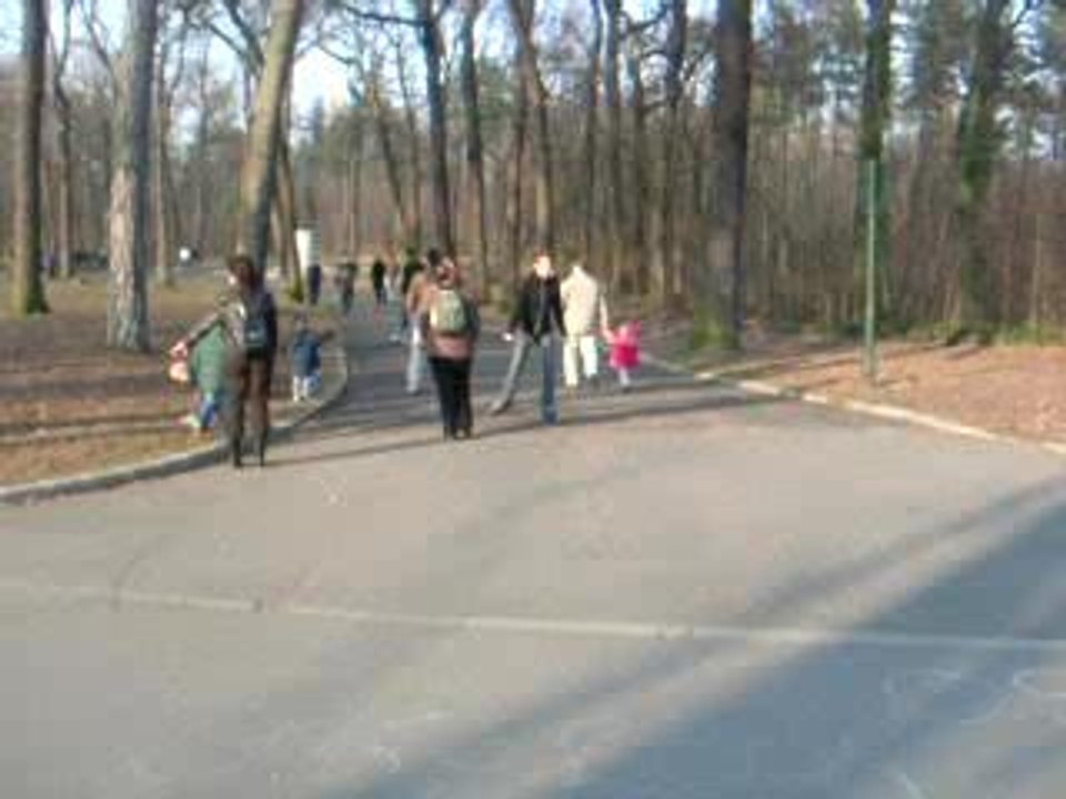 Roller 19.03.06 descente