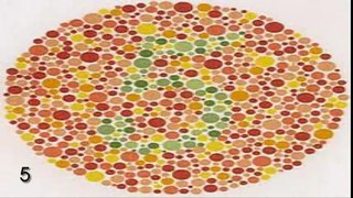 COLOUR BLIND TEST DOES NOT REQUIRE SARINGGAN OR BYAKUGAN