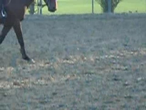 CSO moi et mon dadou