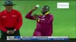 West Indies vs Afghanistan 1st T20 Highlights June 2, 2017 - Cricket Highlights 2