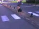 Miniature DailyMotion
