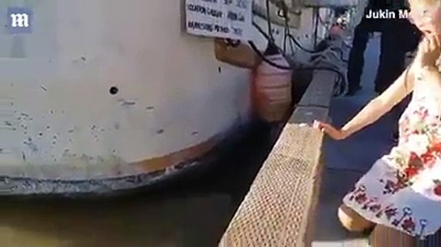 Sea lion drags girl into Steveston waters