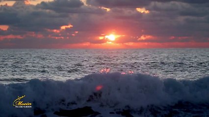 Moein - Shomal  (Persian Music Video)