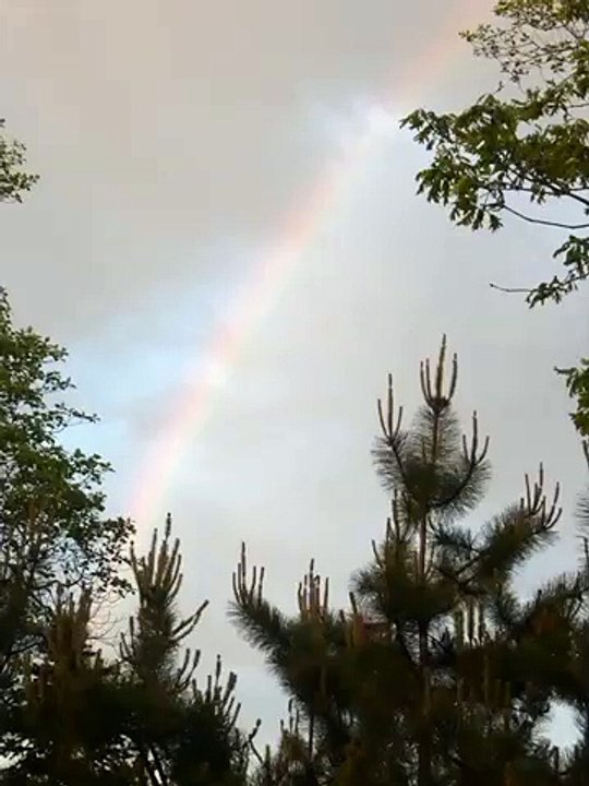 Rainbow 6:2:17