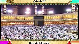 Surah Ya Sin - Beautiful Recitation and Visualization of The Holy Quran