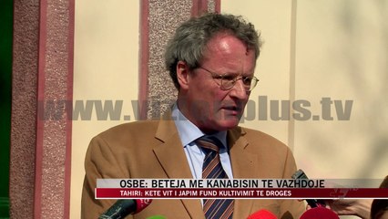 OSBE: Beteja me kanabisin të vazhdojë - News, Lajme - Vizion Plus