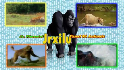 MAMBA VERDE SERPENTE SUPER VENONOSA