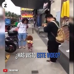 Perros que caminan en dos patas. Ayuda a parar esta tortura!