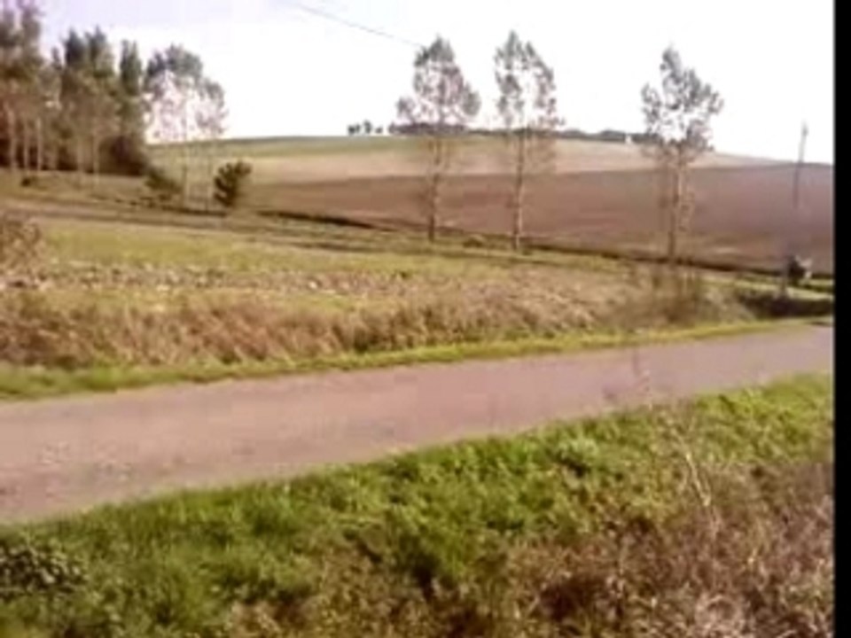 teddy et sylvain weeling