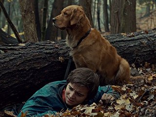 (Full S05E11) ~ Saving Hope Season 5 Episode 11 ~ Watch Online ~ Megavideo