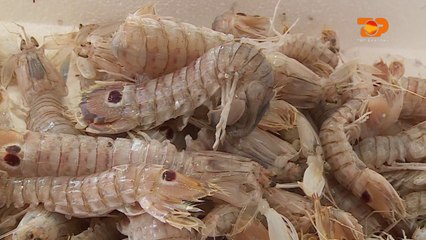 Ne Shtepine Tone, 6 Mars 2017, Pjesa 3 - Top Channel Albania - Entertainment Show