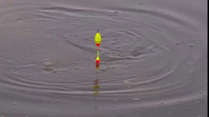 Yayın Balığı Avı