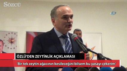 Özlü'den zeytinlik açıklaması