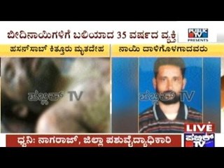 Person Succumbs To Death After Being Attacked By 15 Streetdogs